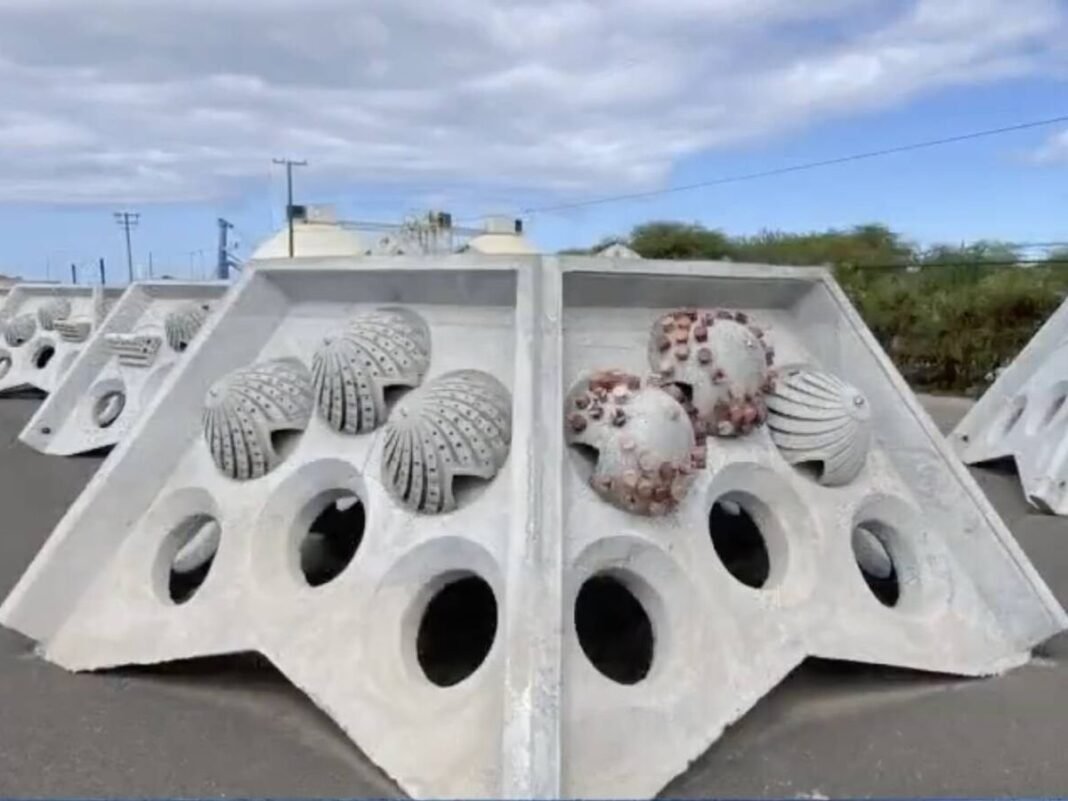 Arrecifes Híbridos: La Estrategia de Hawái para Revertir la Erosión Costera y Restaurar la Biodiversidad Marina Arrecifes Hibridos La Estrategia de Hawai para Revertir la Erosion Costera y Restaurar la Biodiversidad Marina