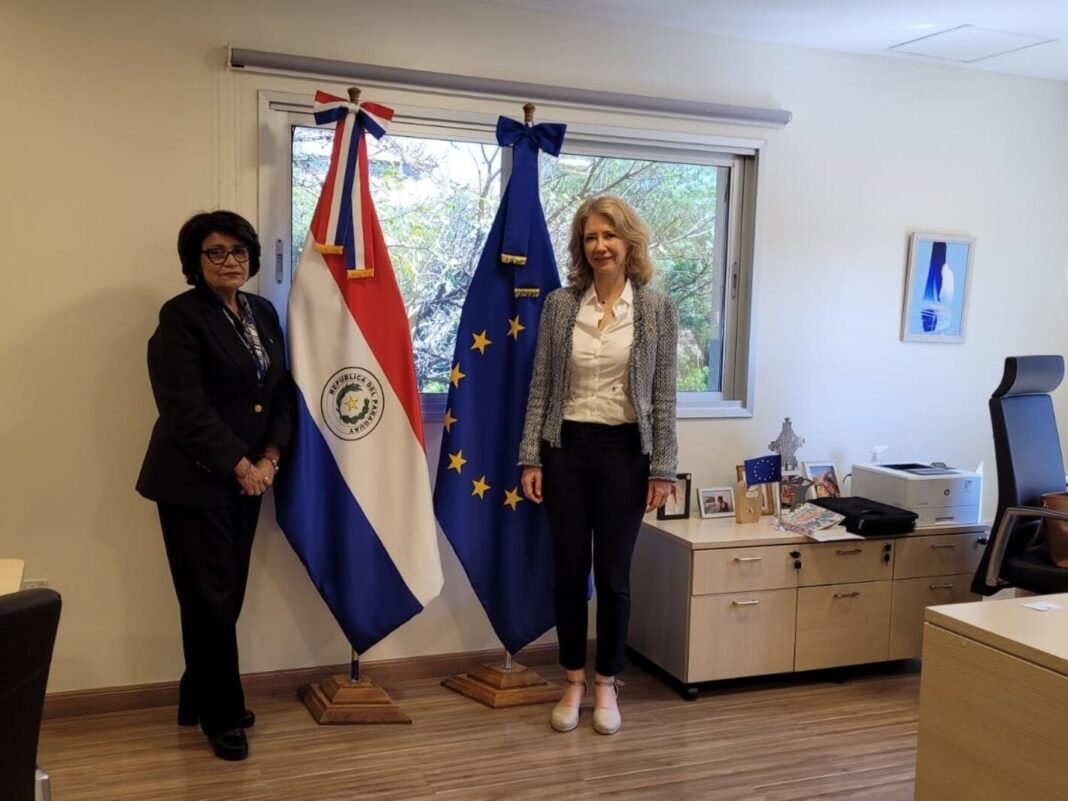 Alianza Estratégica en Salud Pública: OPS/OMS y UE Impulsan Transformación Sanitaria en Paraguay Alianza Estrategica en Salud Publica OPS OMS y UE Impulsan Transformacion Sanitaria en Paraguay