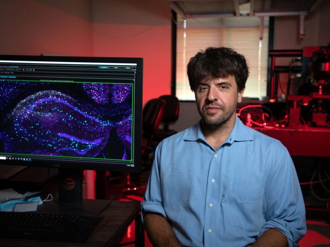 Optogenética: La Revolución Luminosa que Permite ‘Comprender el Cerebro’ y sus Trastornos Optogenetica La Revolucion Luminosa que Permite Comprender el Cerebro y sus Trastornos