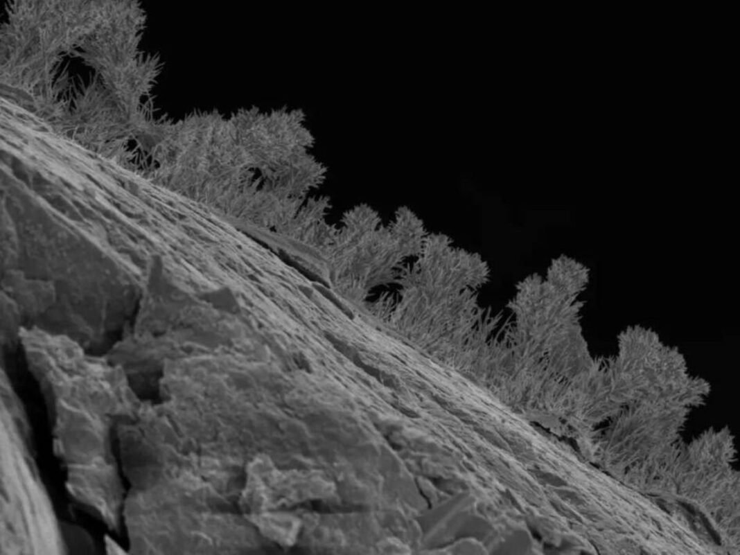 Revelación Geobiológica: ‘Ecosistemas Profundos’ Activos Bajo los Grandes Lagos de Norteamérica Revelacion Geobiologica Ecosistemas Profundos Activos Bajo los Grandes Lagos de Norteamerica