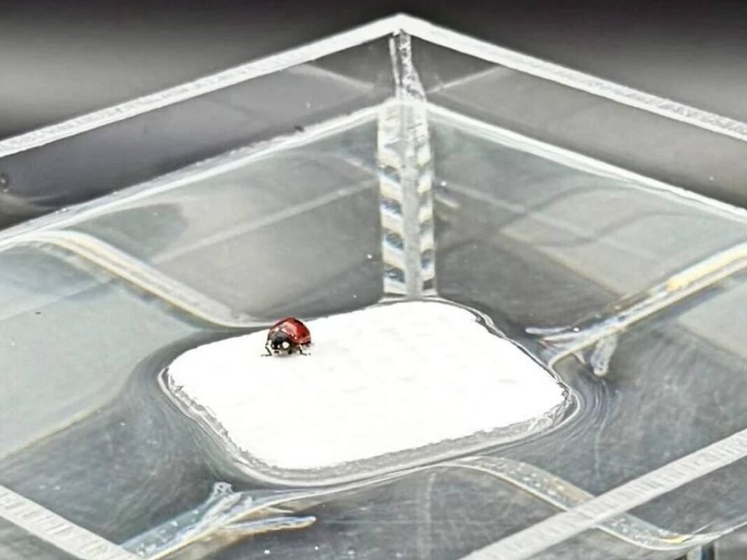 Hidrogel Biomimético del MIT: Refrigera la Piel y Revoluciona Sensores Médicos Hidrogel Biomimetico del MIT Refrigera la Piel y Revoluciona Sensores Medicos