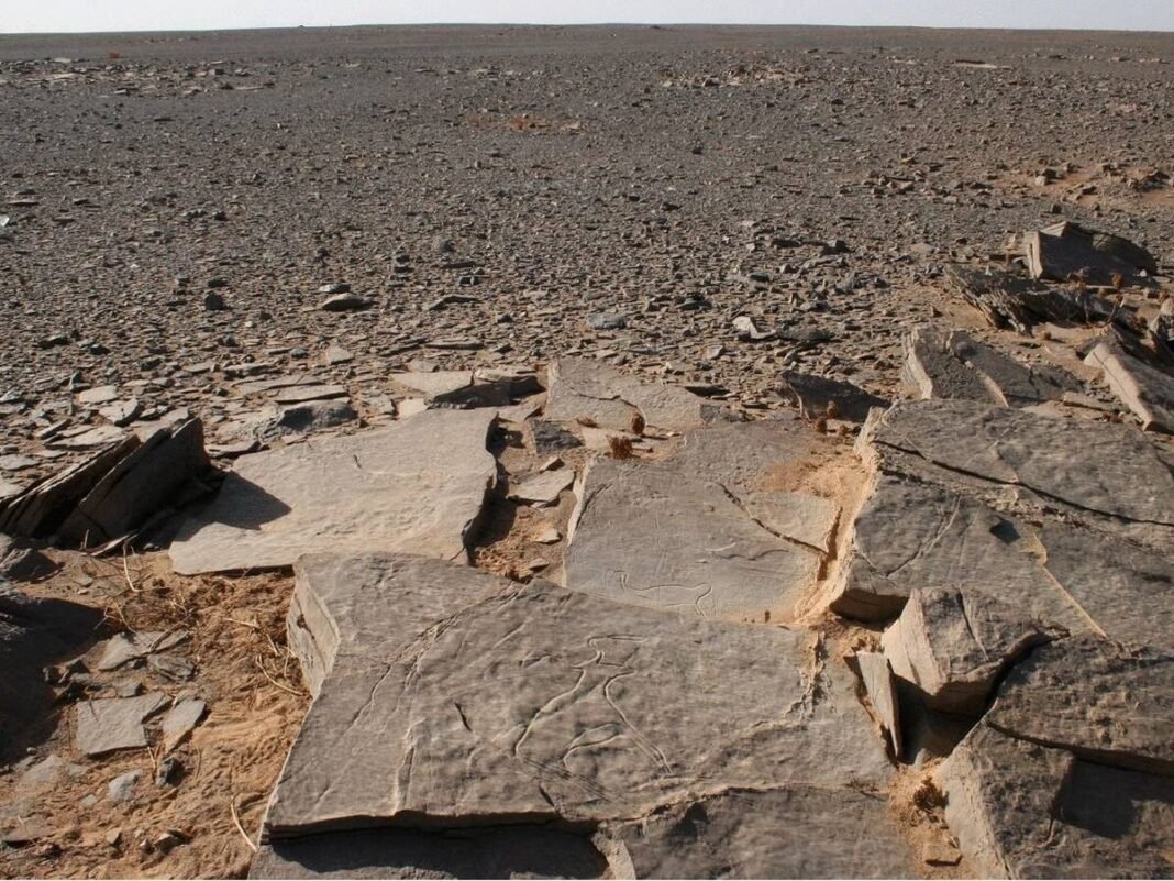 Sáhara Occidental: Fechan Tumba con ‘Antenas’ de 4.000 Años, Clave del Neolítico Funerario Sahara Occidental Fechan Tumba con Antenas de 4000 Anos Clave del Neolitico Funerario
