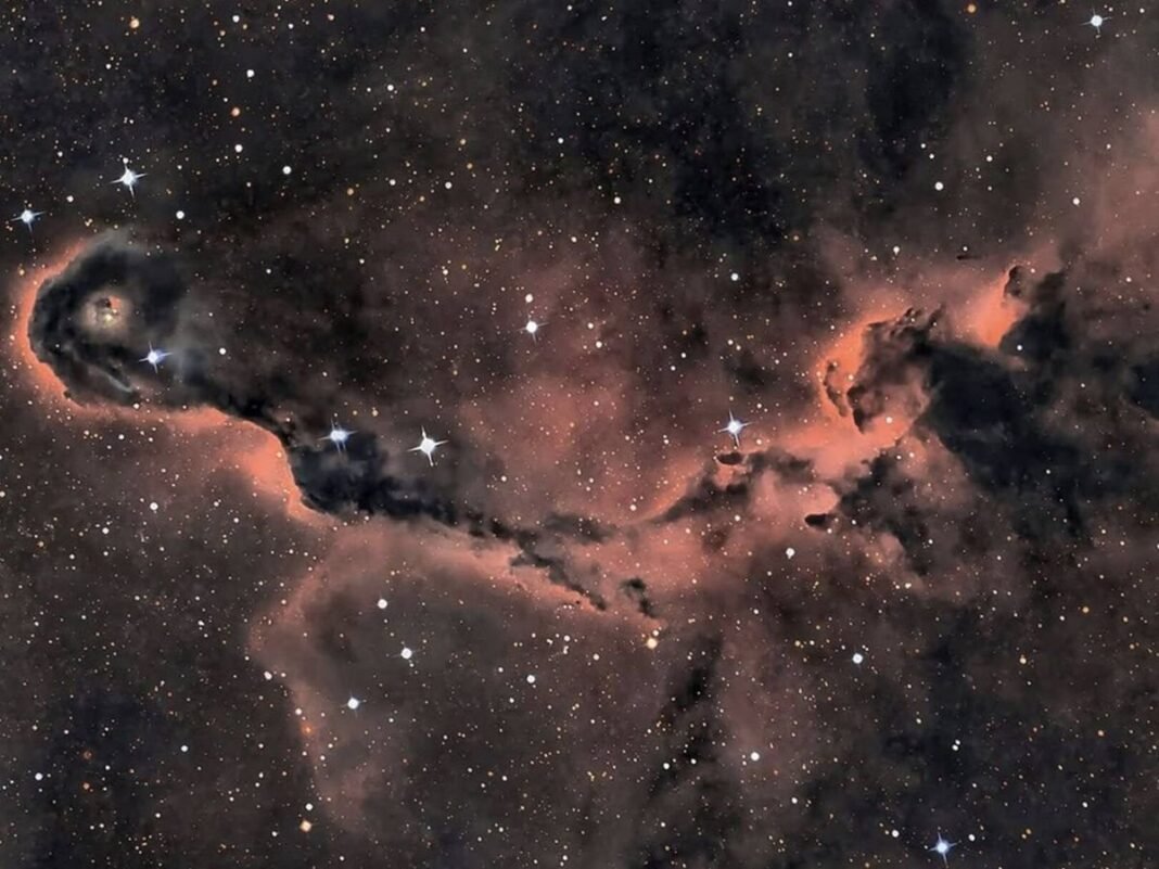 NASA Desvela Imponente Trompa de Elefante Cosmica Cuna Estelar Activa en Cefeo