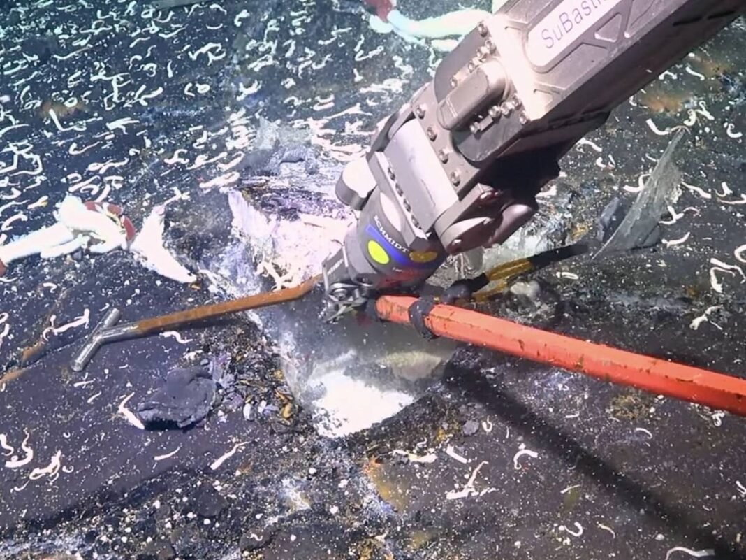 Revelan vida inesperada bajo la corteza oceanica Un desafio a los limites biologicos
