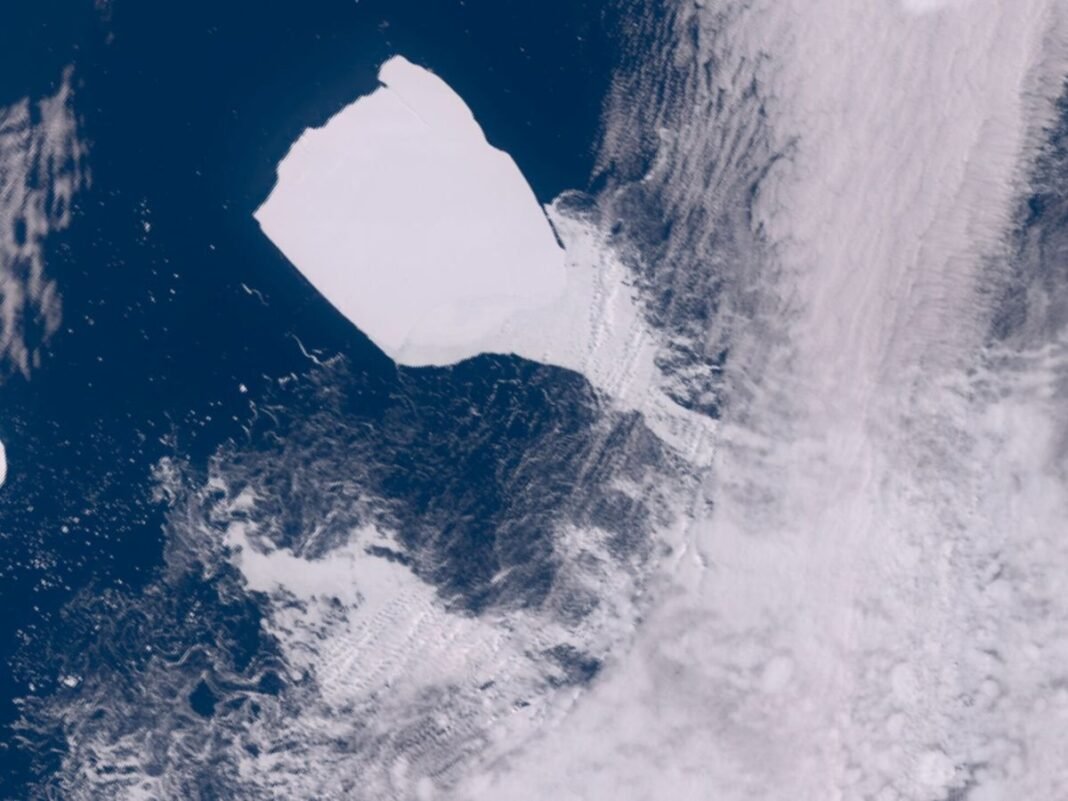 Antártida: La Trágica Pérdida Masiva de Pingüinos Emperador por un Iceberg Colosal Antartida La Tragica Perdida Masiva de Pinguinos Emperador por un Iceberg Colosal