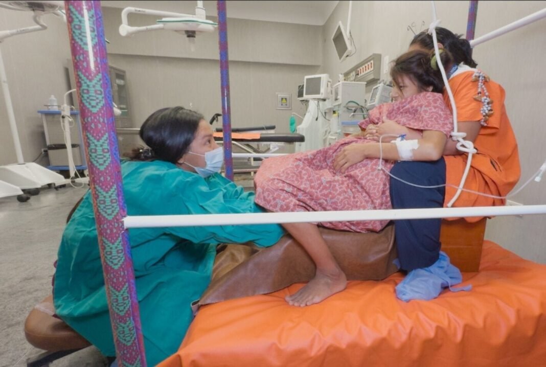 Estrategias Globales Impulsan la ‘Medicina Tradicional Integrativa’ en los Sistemas de Salud de América Estrategias Globales Impulsan la Medicina Tradicional Integrativa en los Sistemas de Salud de America
